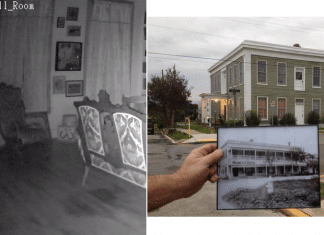 hotel magnolia seguin texas