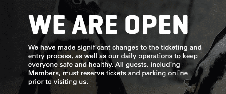 dallas zoo we are open statement 2020