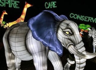 Dallas Zoo To Host ‘Dallas Zoo Lights’ As a Socially-Distant, Drive-Thru Holiday Event