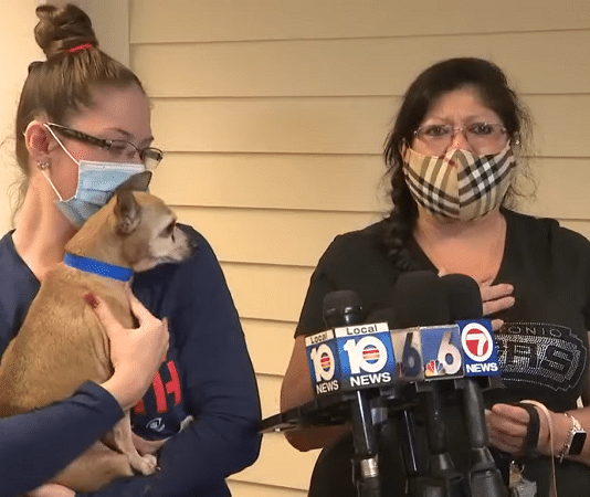 a chihuahua is reunited with his lost san antonio family