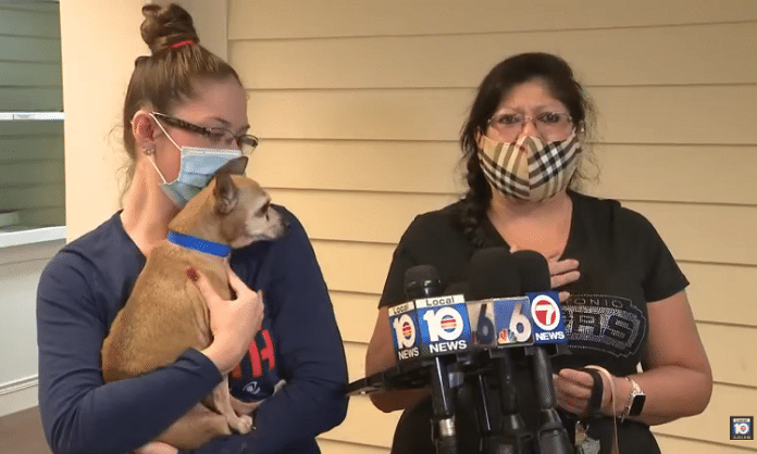 a chihuahua is reunited with his lost san antonio family