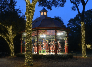 dallas arboretum 12 days of christmas at night event