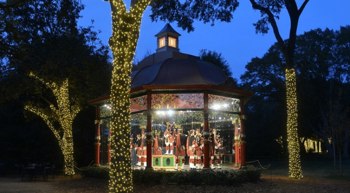 dallas arboretum 12 days of christmas at night event