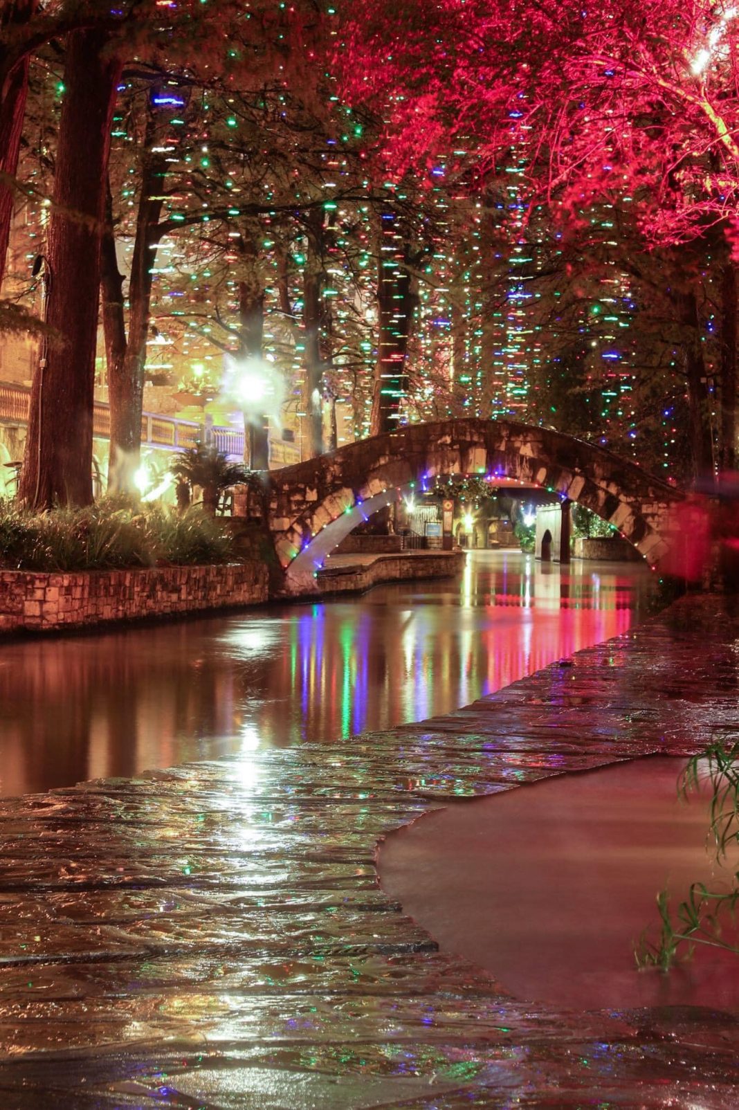 [Gallery] San Antonio River Walk Christmas Lights Texas is Life