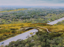 Robert L.B. Tobin Land Bridge artist rendering