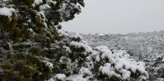 texas hill country snow new years eve 2020