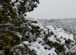 texas hill country snow new years eve 2020