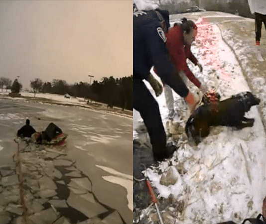 police officers rescue dog frozen pond southlake texas