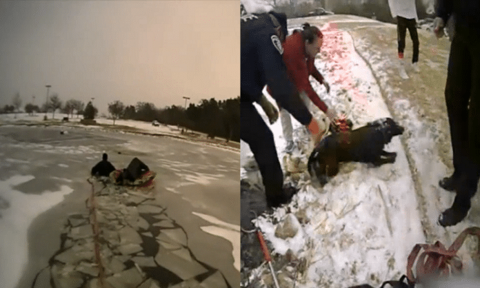 police officers rescue dog frozen pond southlake texas