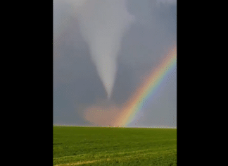 double rainbow in front of a tornado over a field of grass