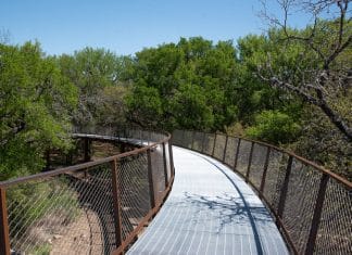 Image of Skywalk at Phil Hardberger Park