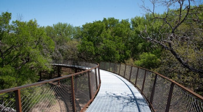 Image of Skywalk at Phil Hardberger Park