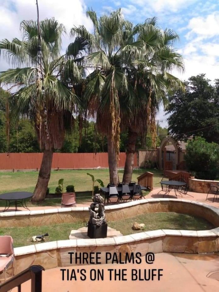 15 Best Restaurant Patios in Fort Worth For Al Fresco Dining Texas is