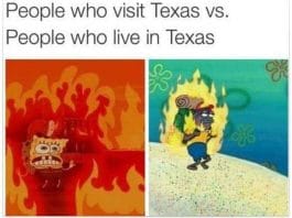 Relatable Memes About Texas Summer Heat to Make You Forget Your Sweat ...