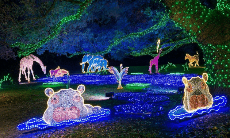 Houston Zoo Lights Featured Image 