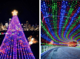 Austin Trail Lights christmas tree and light tunnel