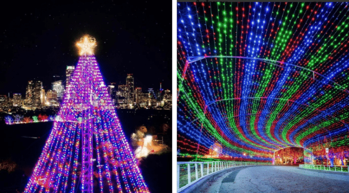 Austin Trail Lights christmas tree and light tunnel
