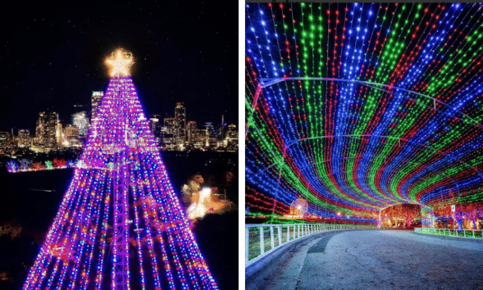 Austin Trail Lights christmas tree and light tunnel