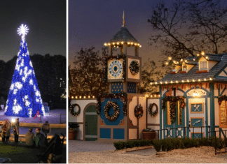 50 foot tall musical christmas tree and lighted up Christmas village at the Dallas Arboretum