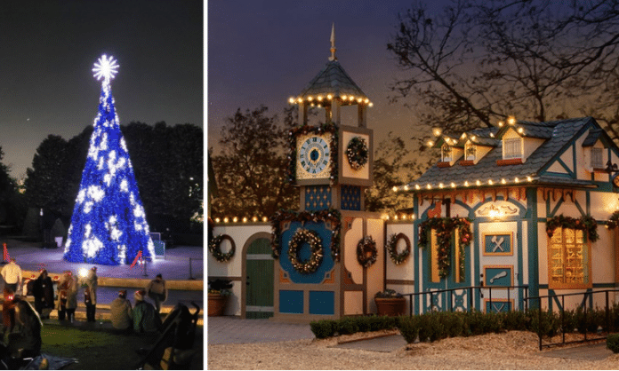 50 foot tall musical christmas tree and lighted up Christmas village at the Dallas Arboretum