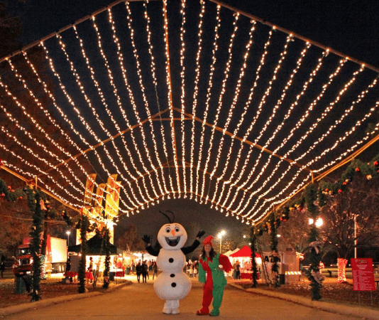 Christmas in the Park lights