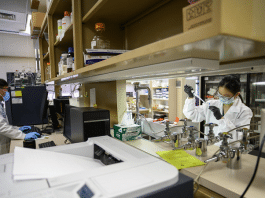 texas children's hospital vaccine research lab photo