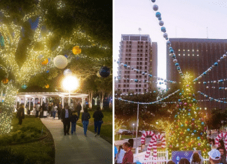 peppermint lane in corpus christi