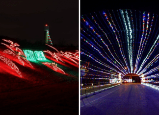 Christmas light poinsettas and Christmas lights tunnel