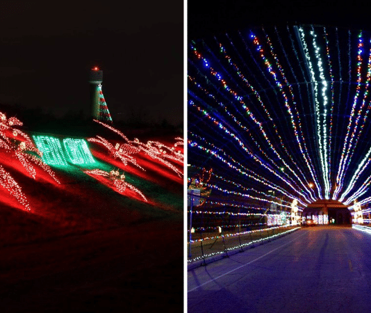 Christmas light poinsettas and Christmas lights tunnel