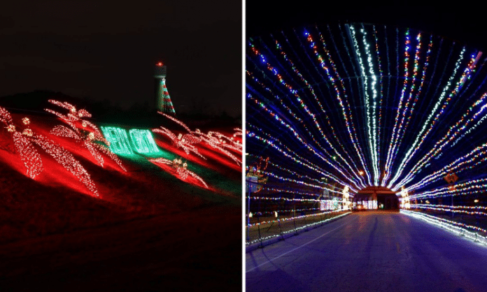 Christmas light poinsettas and Christmas lights tunnel