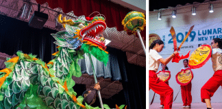 Chinese Lunar New Year dragon and fighters