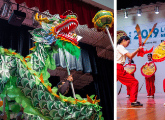 Chinese Lunar New Year dragon and fighters
