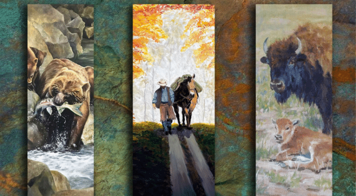 Western Texas art panels