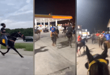 dallas residents ride horses to meet at gas station 2022