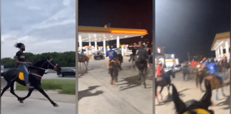 dallas residents ride horses to meet at gas station 2022