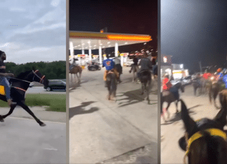 dallas residents ride horses to meet at gas station 2022