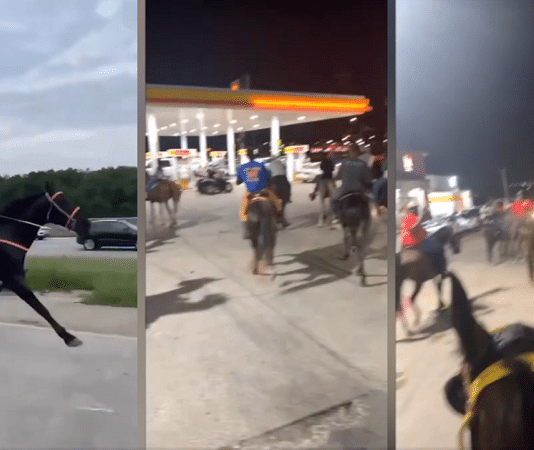dallas residents ride horses to meet at gas station 2022