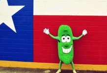 pickle parade mansfield texas pickle dude