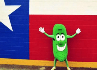 pickle parade mansfield texas pickle dude
