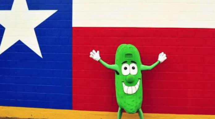 pickle parade mansfield texas pickle dude