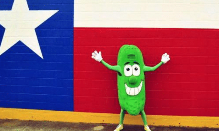 pickle parade mansfield texas pickle dude