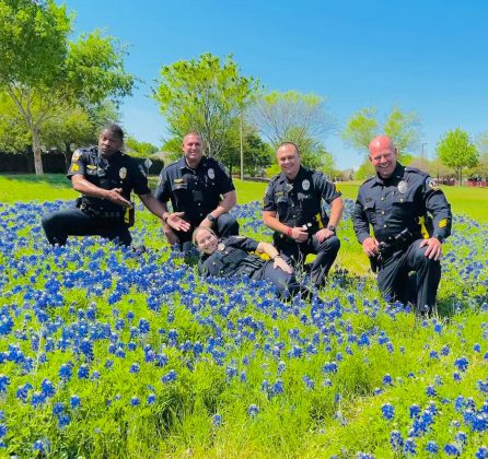 mckinney police officers posing a field of bluebonnets
