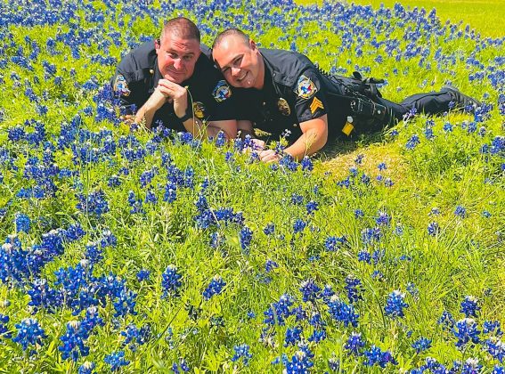 mckinney police officers posing a field of bluebonnets