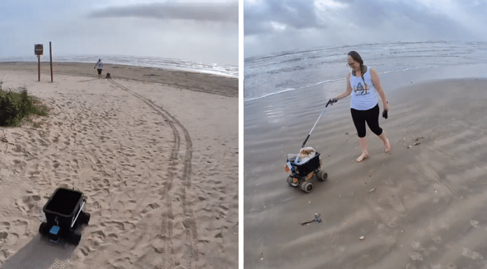 galveston texas beach trash cleanup