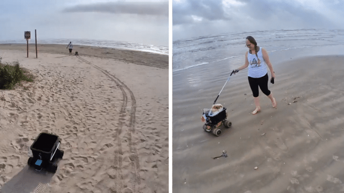 galveston texas beach trash cleanup