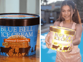 new blue bell flavors 2022