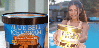 new blue bell flavors 2022