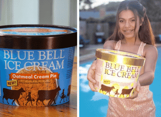 Blue Bell Has Released 2 New Flavors: Oatmeal Cream Pie Ice Cream and Strawberry Lemonade Sherbert new blue bell flavors 2022