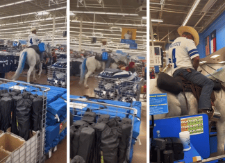dallas cowboys fan rides horse around walmart in arlington texas