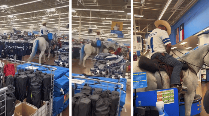 dallas cowboys fan rides horse around walmart in arlington texas